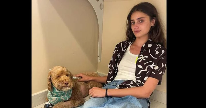 Taylor Hill breaks down in tears as her beloved dog Tate is diagnosed with lymphoma, says 'not sure how much time I have left with him'