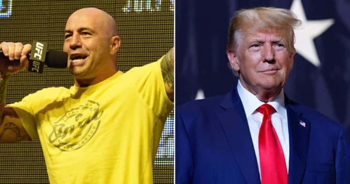 Joe Rogan's unexpected backing for Donald Trump puzzles Internet: 'DeSantis can't compete with him'
