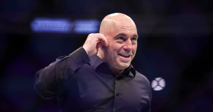 Joe Rogan's surprising connection to Alpha Brain revealed. Here's how he earned massive equity for $0