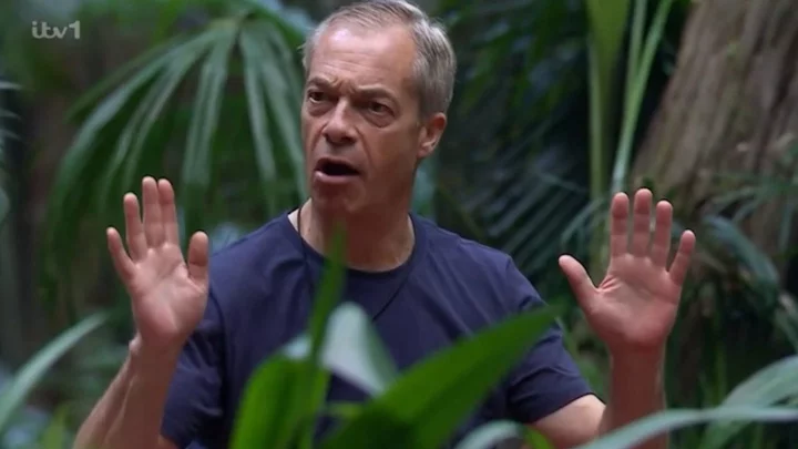 Nigel Farage and Nella Rose clash over cultural appropriation on I'm A Celeb