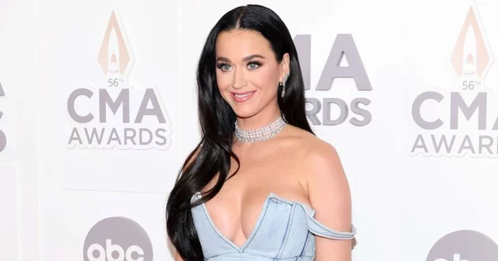 Internet trashes Katy Perry as she continues to promote her shoe brand after hiatus: 'We want new music'