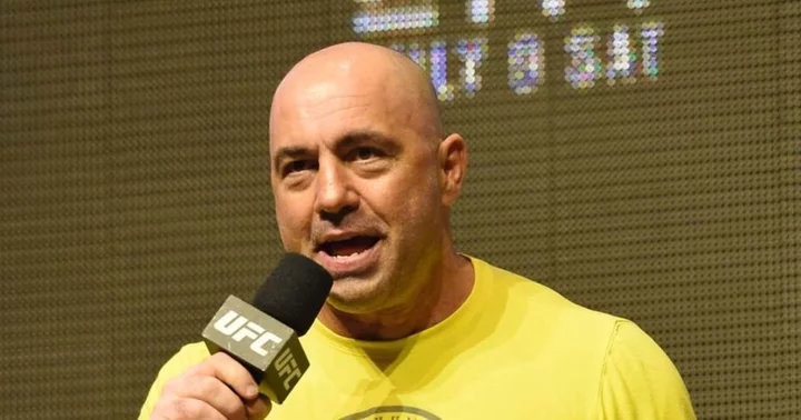 What is Rat Temple? Joe Rogan's unique podcast segment leaves Internet impressed: 'A breath of fresh air'