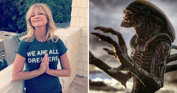 Wish granted! Goldie Hawn claims she met aliens after screaming at the sky that she wanted to see one