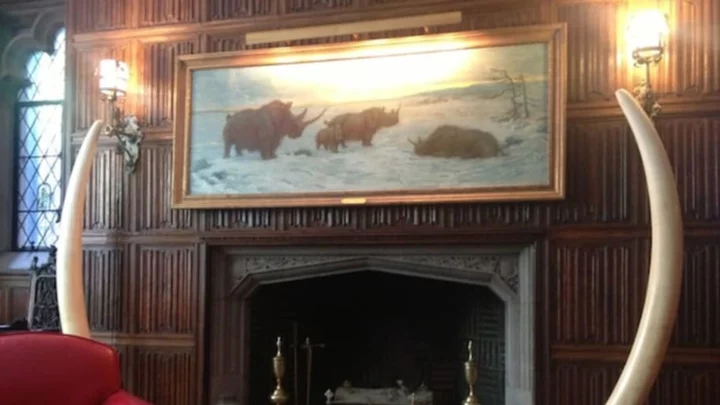 11 Awesome Artifacts You Can See at the Explorers Club