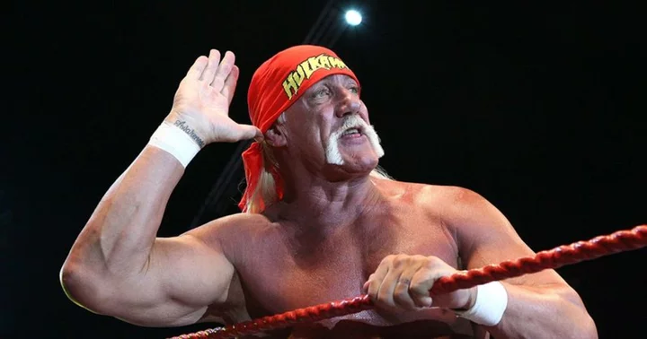 Hulk Hogan's remarkable recovery: 28 surgeries over the last decade, THC and CBD propel him to peak health
