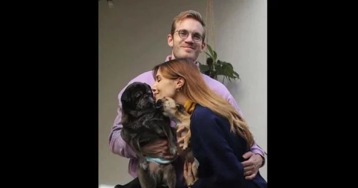 PewDiePie: How many dogs does fan favorite YouTuber and cynophile have?