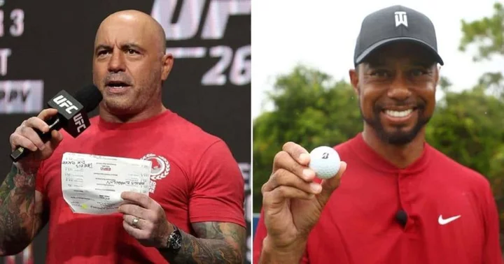 'Guy made a comeback': When Joe Rogan was gobsmacked by Tiger Woods' win during 2019 Masters