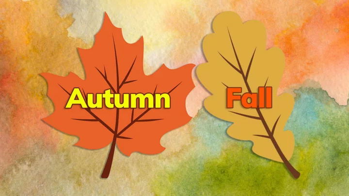 The Reason Why Americans Refer to Autumn as ‘Fall’