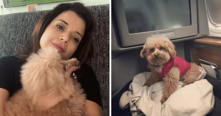 'Poor pup': Internet slams 'The View' co-host Ana Navarro for bringing her dog ChaCha to sports bar