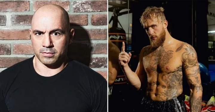Will Joe Rogan fight Jake Paul? UFC commentator breaks silence on boxing challenge and potential match, fans call him 'honest'