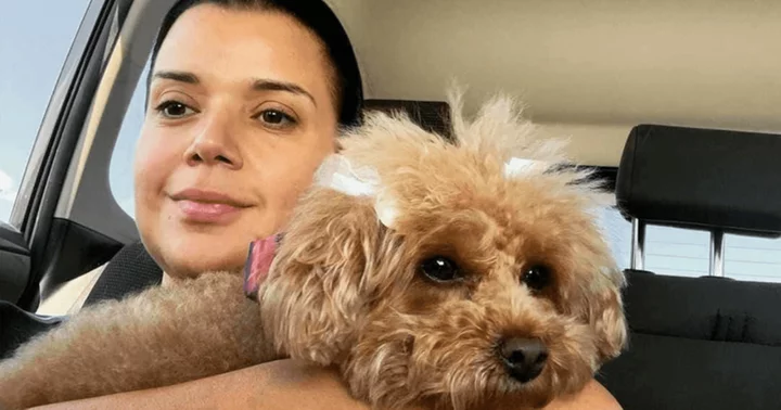 'Bless her little heart': Fans gush as 'The View' host Ana Navarro shares wholesome moment with her dog