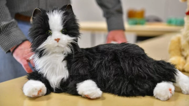 Library Patrons in Oregon Can Check Out a Robotic Cat for Company