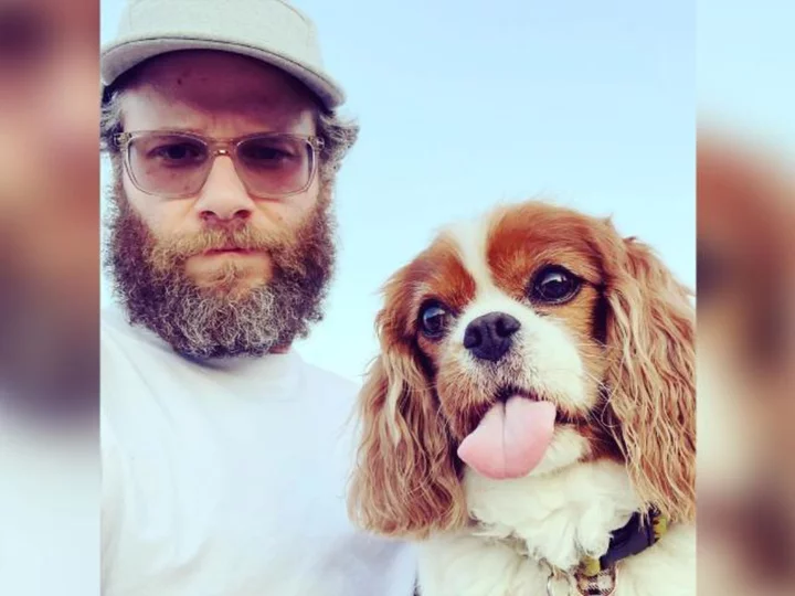 Seth Rogen's beloved dog Zelda has died
