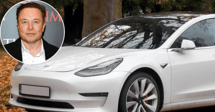 'Elon Mode': Tesla ordered to provide data on autopilot feature