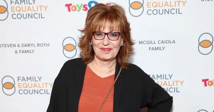 'The View' host Joy Behar calls show 'wild and dangerous' as she promotes Season 27 in video
