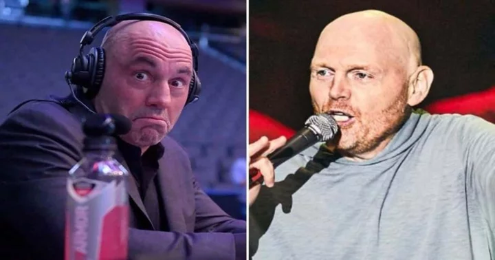 'It probably hurts for a second': Joe Rogan and Bill Burr compare UFC fighters' choking strategy to Sundarbans tiger attacks