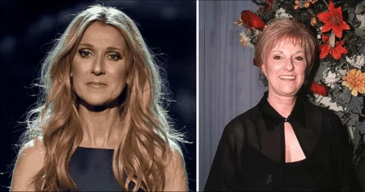 Celine Dion is doing everything to fight stiff person syndrome but there is little to 'alleviate her pain,' reveals sister