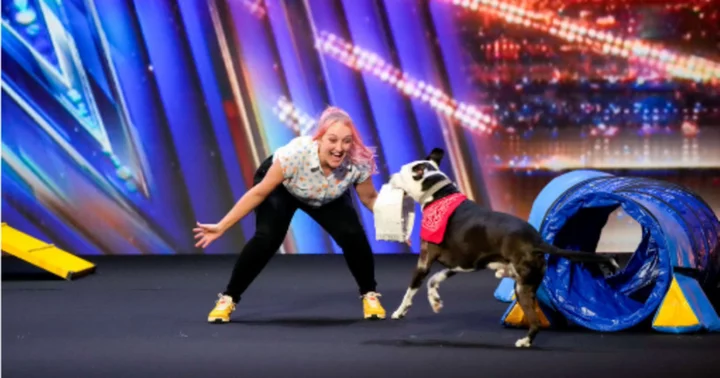 Who is Bogart? Three-legged dog wins 'AGT' judges' hearts, unimpressed fans call act 'lame'