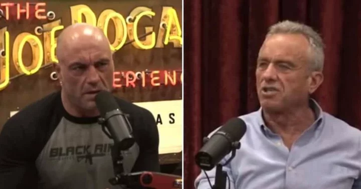 Joe Rogan asks RFK Jr whether he is aware of possible 'CIA assassination' if he's elected president: 'I'm not stupid'