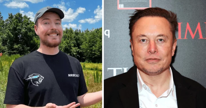 MrBeast leaves bizarre reply to Elon Musk's post about 'mind-blowing' reach of X, puzzled fans ask 'said what'