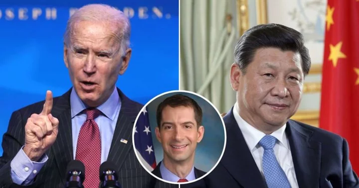 'I'm very skeptical': Tom Cotton raises concern over Joe Biden’s meeting with China's Xi Jinping on 'Fox & Friends'