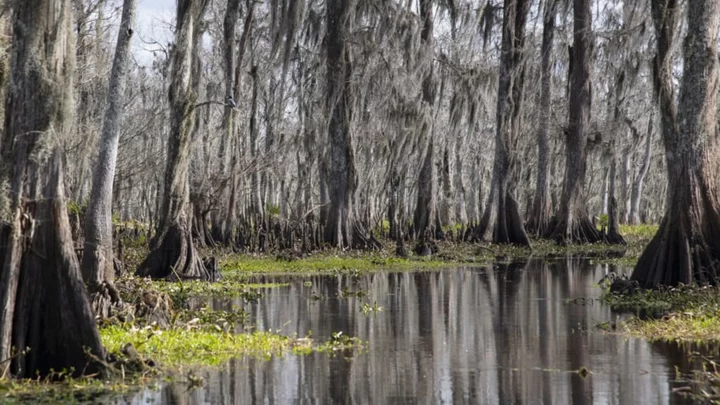 The Legend (and Truth) of the Voodoo Priestess Who Haunts a Louisiana Swamp