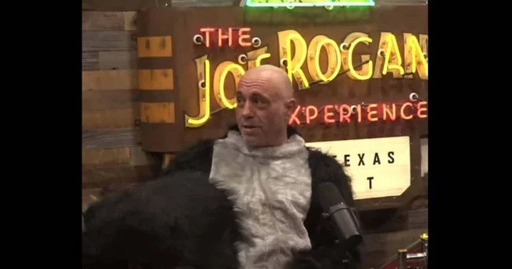 Joe Rogan 'sweats' and 'could barely breathe' after dressing up as furry during 'JRE' episode, fans say 'the Matrix got them'
