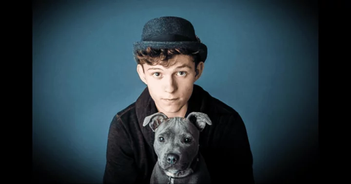 Adorable pics of Tom Holland with his dog Tessa through the years