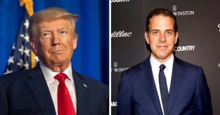 Did Trump call for Hunter Biden to be killed? President's son strikes a plea deal on two misdemeanor charges