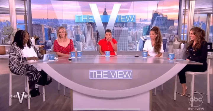Internet claims 'The View' has 'turned into a heap of garbage' as they celebrate 26 years of being on-air