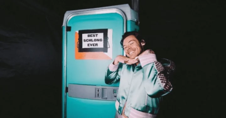 Harry Styles flashes a ballsy grin next to a ‘best schlong ever’ sign, cheeky fans say ‘prove it’