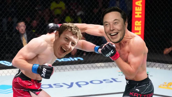 Elon Musk vs Mark Zuckerberg: Who would win in a cage fight?