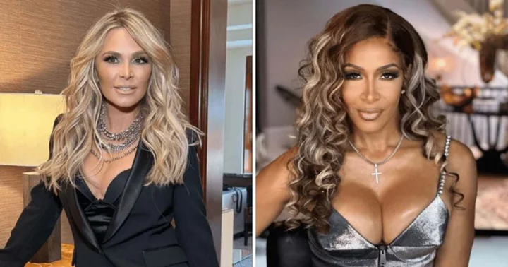 'Needs a mirror': Tamra Judge trolled over 'half-naked' outfit as she poses with 'RHOA' star Sheree Whitfield
