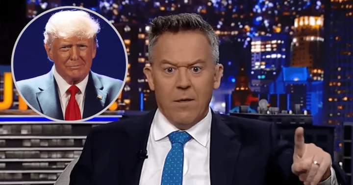'Funniest time to be alive': Greg Gutfeld addresses how Donald Trump became target of political comedy