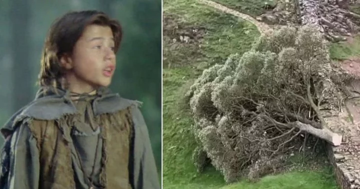 Daniel Newman pays tribute to famous ‘Robin Hood’ tree fallen in act of vandalism as he recalls filming with 'ancient beauty'
