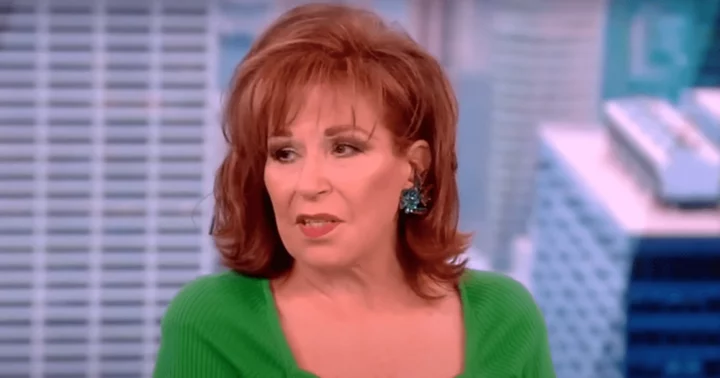 'The View' host Joy Behar labeled 'delusional' after she advises men to 'zip it' if they 'wanna have sex again'