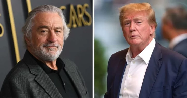 Robert De Niro's call for Dems to reach out to Trump supporters 'with respect' wins Internet Sanity Award