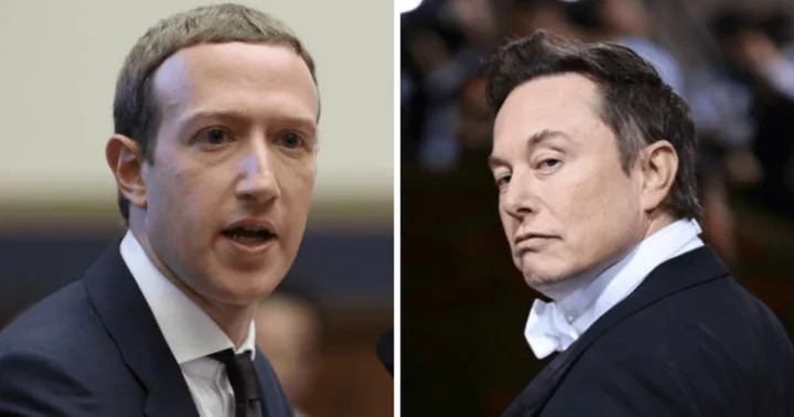 Who will win Mark Zuckerberg vs Elon Musk MMA fight? Meta CEO and Twitter boss all set for 'cage match' in Vegas