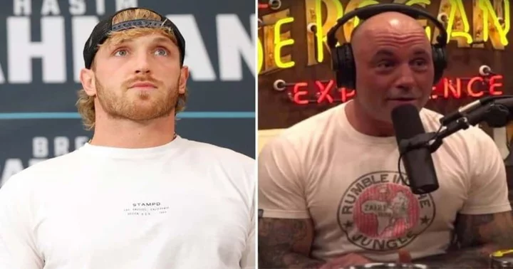 Is Joe Rogan ignoring Logan Paul? YouTuber claims 'JRE' podcaster left him on 'seen twice': 'I have stories I am saving to tell him'