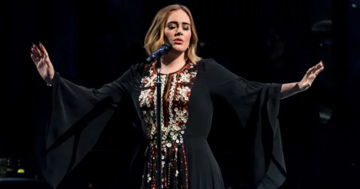 Why did Adele defend her fan? Video showing TikTok user standing up during singer's Las Vegas concert goes viral