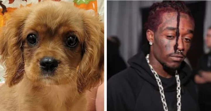 Pennsylvania cops wrongfully deem Lil Uzi Vert a dog thief, ask people to 'be on the lookout' for rapper