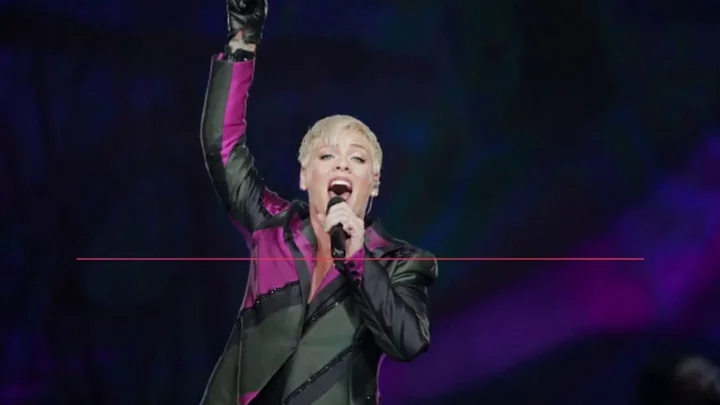 Pink shares 'embarrassing' nude photo of herself while showering outdoors