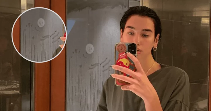 What's wrong with Dua Lipa's bathroom? X-rated background of selfie sends fans into a tizzy