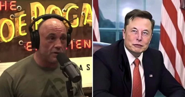 Joe Rogan slams government for poor tackling of Maui Wildfires, Elon Musk highlights X's role in solving real-time problem