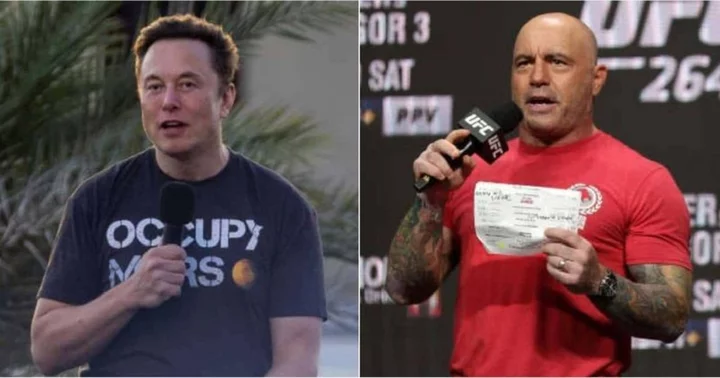 Elon Musk shares two-word response revealing if he will return to Joe Rogan's 'JRE' podcast