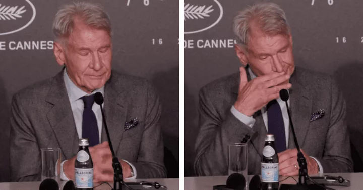 'I think you're still very hot': Harrison Ford, 80, gets flustered by 'thirst question' posed by Cannes reporter