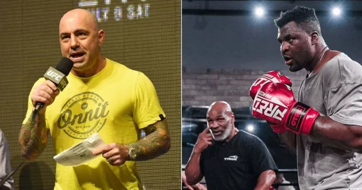 Joe Rogan recommends healing treatment to UFC star Francis Ngannou after Mike Tyson: 'It'll definitely help'