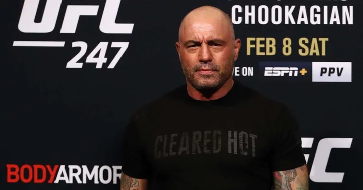 Joe Rogan discusses 'culture war' amid Bud Light controversy, calls Americans 'silly': 'Now I hate these people. These people are the enemy'