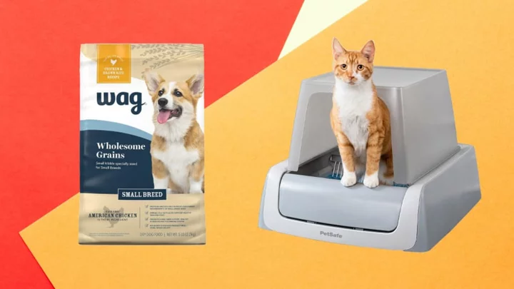 The Best October Prime Day Deals For Pet Lovers To Shop Now