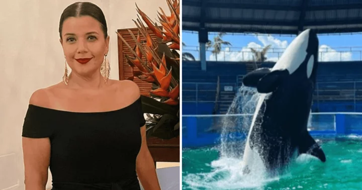 'The View' fans back Ana Navarro as she calls out Miami Seaquarium over beloved Lolita's death